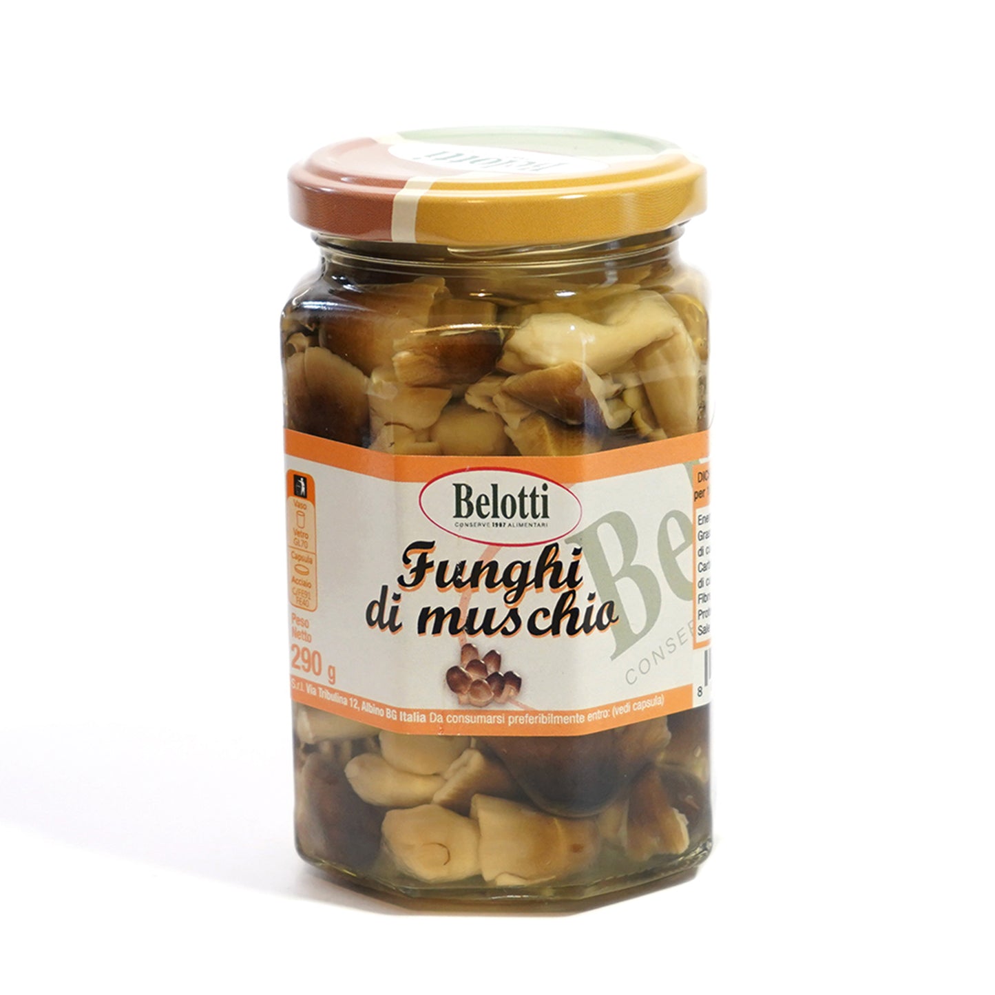 Funghi di Muschio