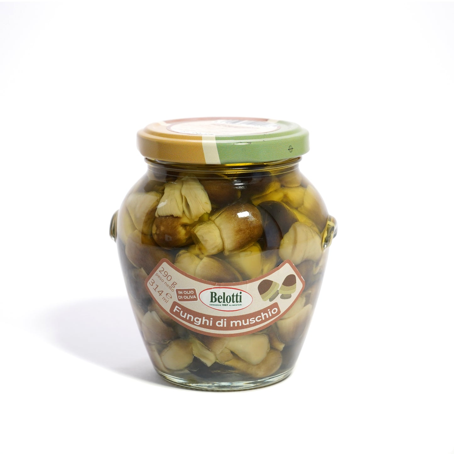 Funghi di muschio. Funghi sott'olio. Conserve alimentari sott'olio e sottaceto.