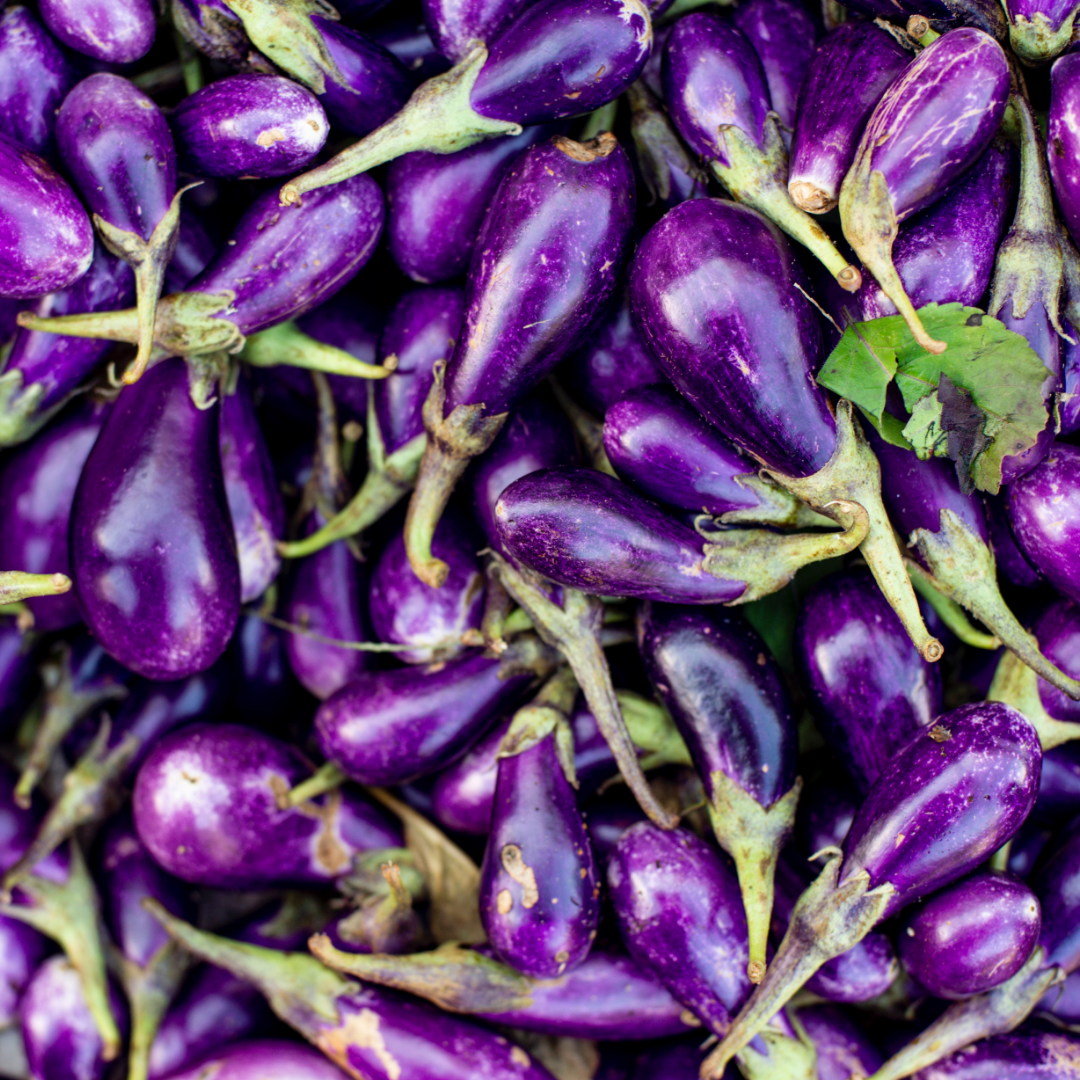 Melanzane