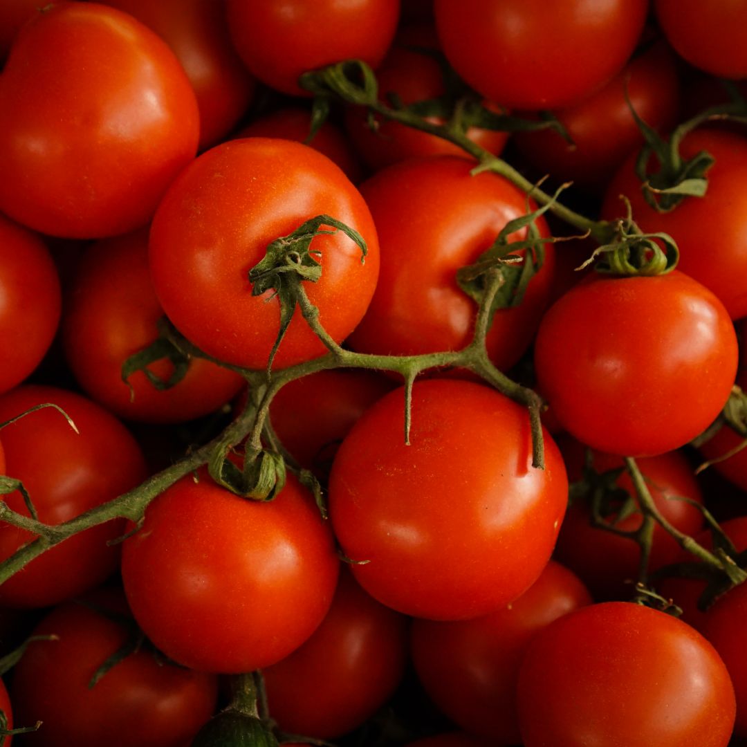 Pomodori