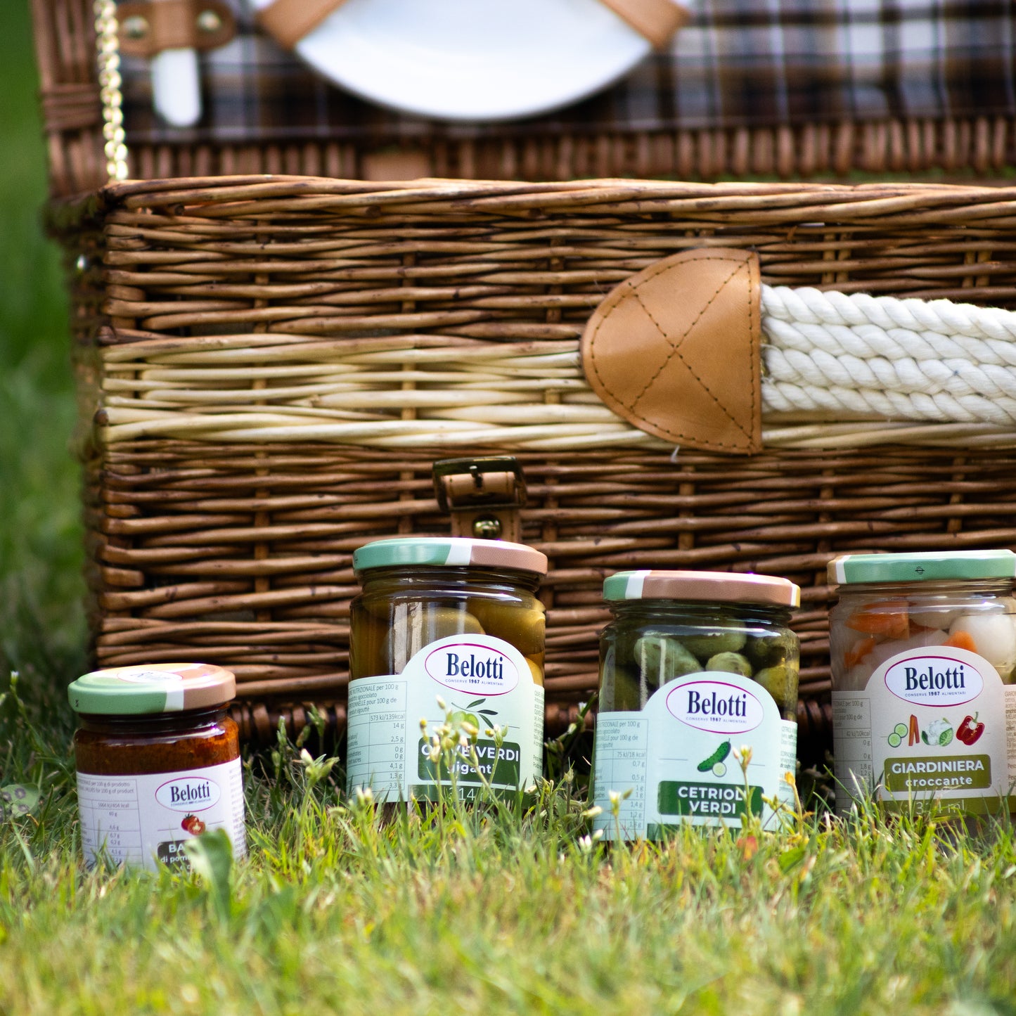 Picnic Gourmet